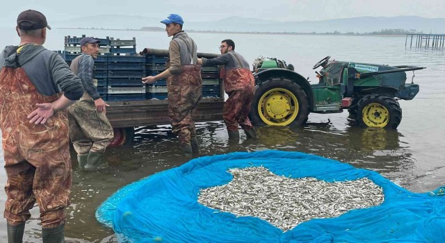 İznik Gölünde gümüş balığı sezonu açıldı