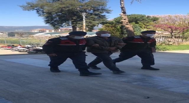 Jandarma ekipleri, aranan şahısları kıskıvrak yakaladı