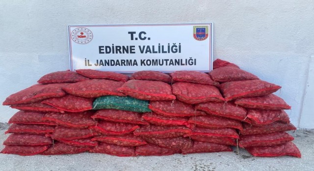 Jandarmadan kaçak midye operasyonu