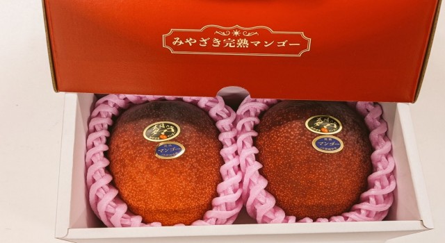 Japonyada iki mango 58 bin 300 liraya alıcı buldu