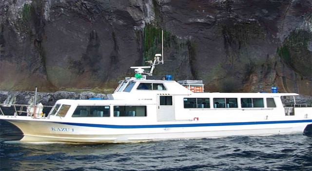 Japonyada kaybolan turist botundaki 9 kişi bulundu