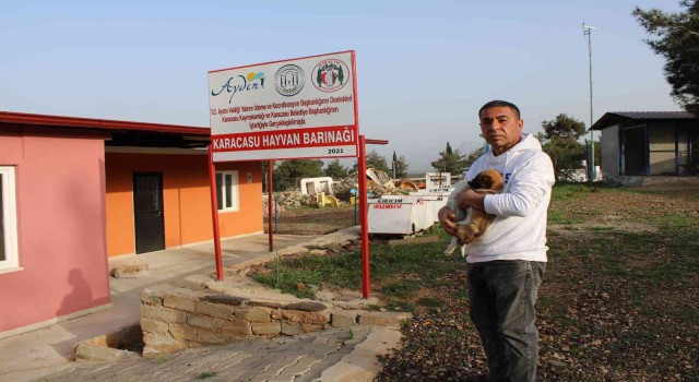 Japonyadan kazandığını can dostlarına harcıyor
