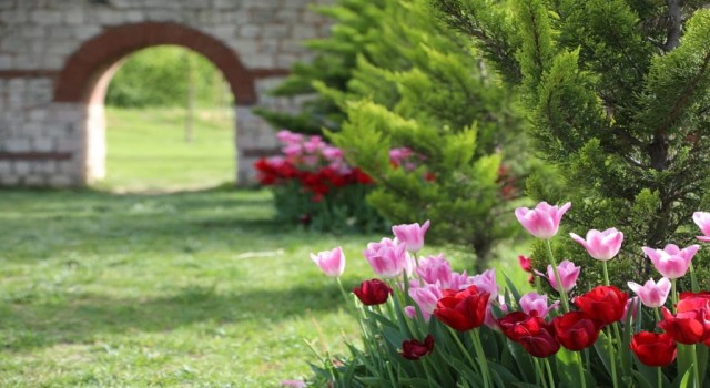 Kağıthanede lale mevsimi başladı