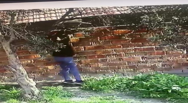 Karacabeyde 6 hırsızlık şüphelisi tutuklandı