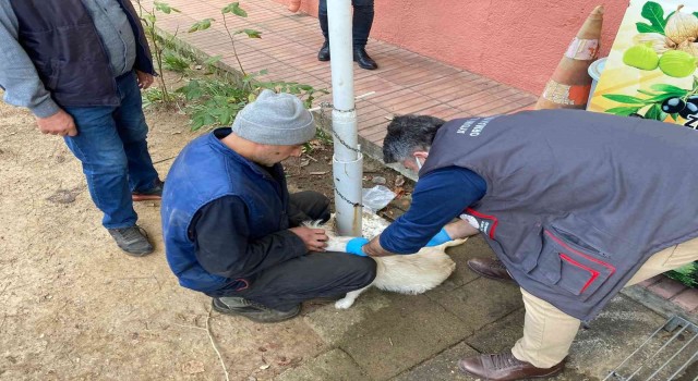 Karacasu İlçe Tarımdan kimliklendirme uyarısı