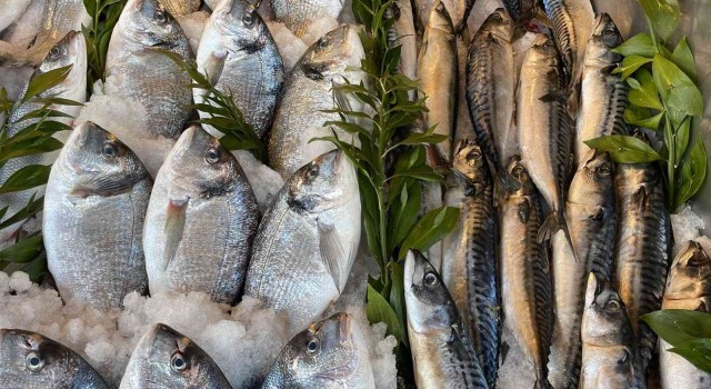 Karadenizdeki serseri mayınlar tezgaha da yansıdı