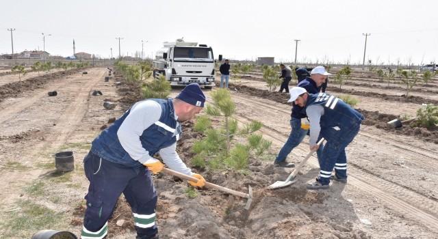 Karatayda ağaçlandırma çalışmaları sürüyor