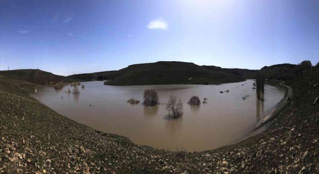 Karsta ağaçlar baraj suyu altında kaldı