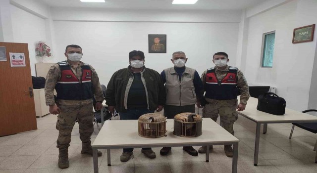 Karsta kaçak avcı suçüstü yakalandı