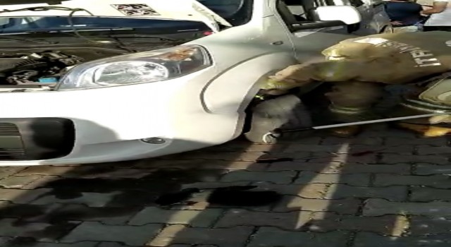 Kartalda araç motoruna sıkışan kediyi kurtarma operasyonu kamerada