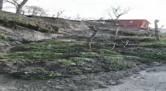 Kastamonuda heyelan: Ağaçlar bile sürüklendi