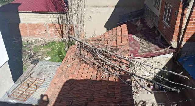 Kavak ağacı çatıya düştü
