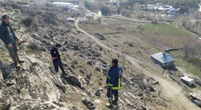 Kayalıklarda mahsur kalan keçi kurtarıldı