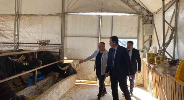 Kaymakam Bolat: “Bolvadin ülkemizde manda varlığında ilk sıralarda yer alıyor”