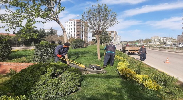 Kilisteki park ve refüjlerde yaz hazırlığı