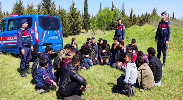 Kırklarelinde 156 kaçak göçmen yakalandı: 6 organizatör tutuklandı
