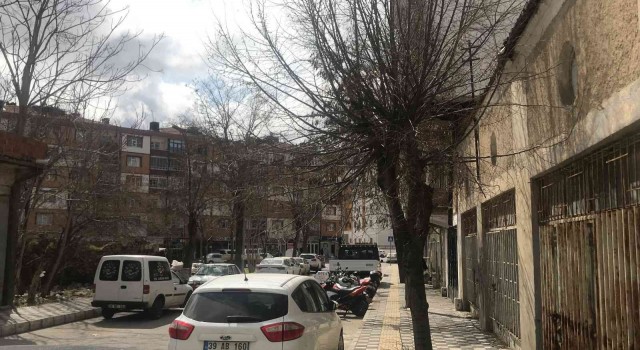 Kırklarelinde budanmayan ağaçlar esnaf ve vatandaşları üzüyor