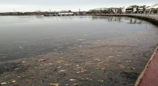 Kocaeli körfezi çöplüğe döndü