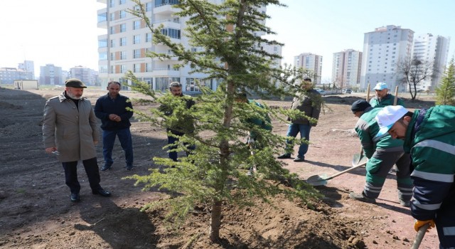 Kocasinan ağaç dikim sezonunu açtı