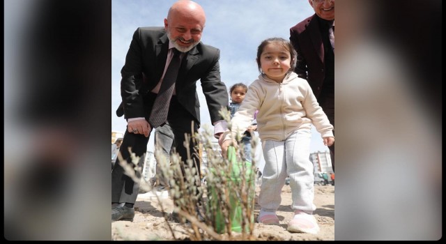 Kocasinan, lavanta bahçesine dönüşüyor