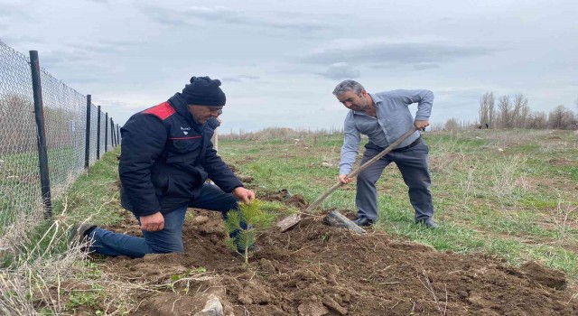 Köy derneği 2 bin adet fidan dikti