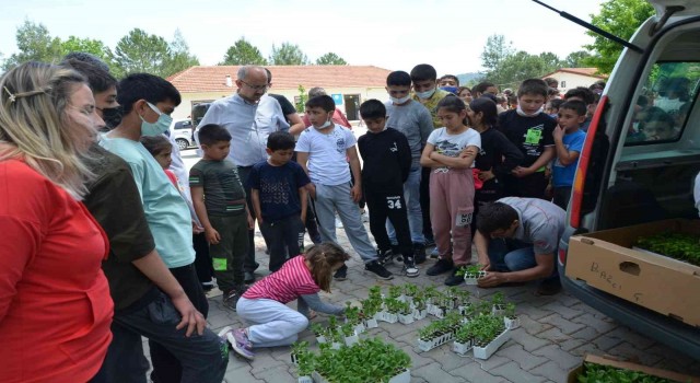 Köyceğizde öğrencilere ata tohumu fideleri dağıtıldı