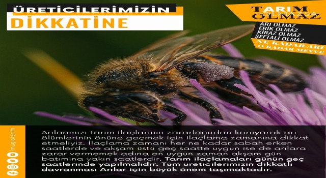 Köyceğizli üreticilere, arıcılık faaliyetleri nedeniyle ilaçlama uyarısı
