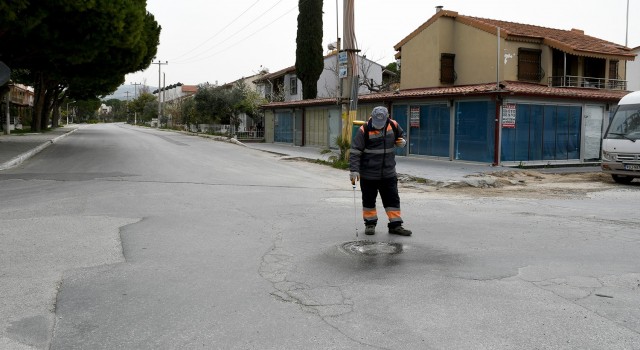 Kuşadasında vektörel mücadele devam ediyor