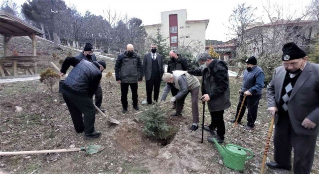 Kütahyada yaşlılar fidan dikti