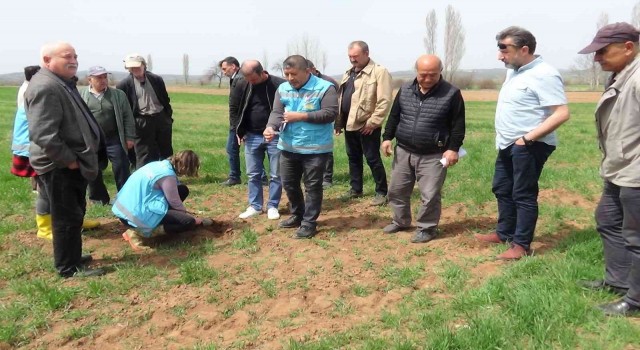 Kütahyada Zabrus seferberliği