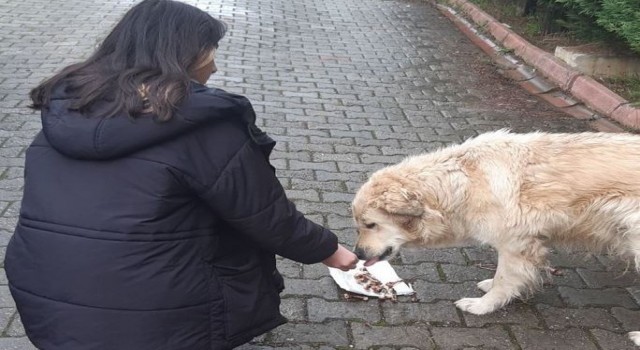Lise öğrencileri değerleri öğreniyor