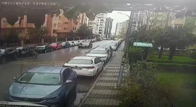 Maltepede pitbullun saldırdığı vatandaş otomobilin üzerine çıkarak canını kurtardı
