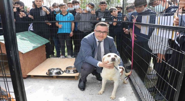 Manisa Büyükşehir Belediyesinden Can Dostum projesi