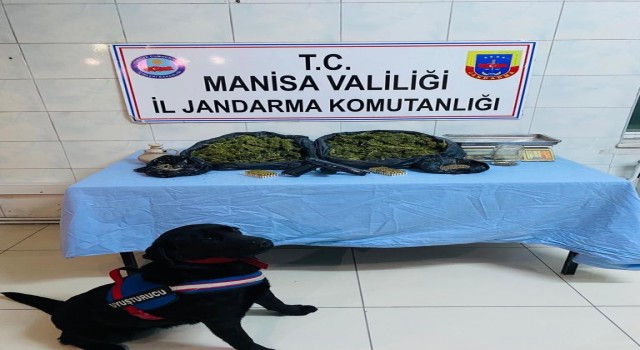 Manisada uyuşturucu operasyonu: 2 gözaltı