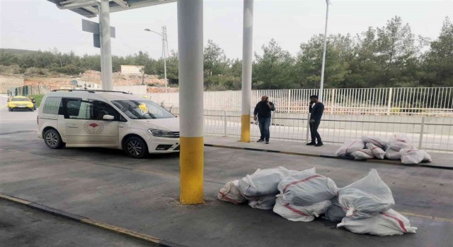 Menteşe otogarında 696 kilo sağlıksız et ele geçirildi