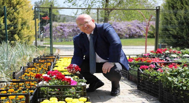 Menteşede bahar renkleri çiçek açtı