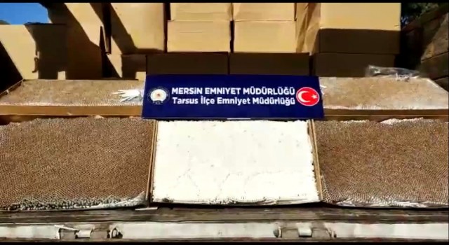 Mersinde 5 milyon adet dolu makaron ele geçirildi