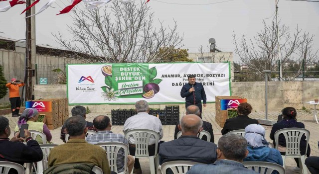 Mersinde üreticiye passiflora fidesi desteği