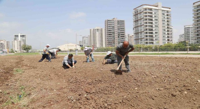 Mezitlide ihtiyaç sahipleri için sebze bahçesi