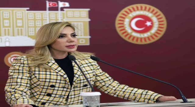 Milletvekili Gökcandan 1 Mayıs Emek ve Dayanışma günü mesajı