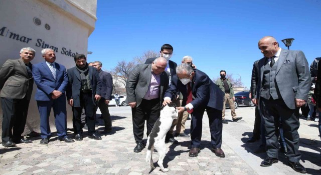 Mimar Sinan doğduğu topraklarda anıldı