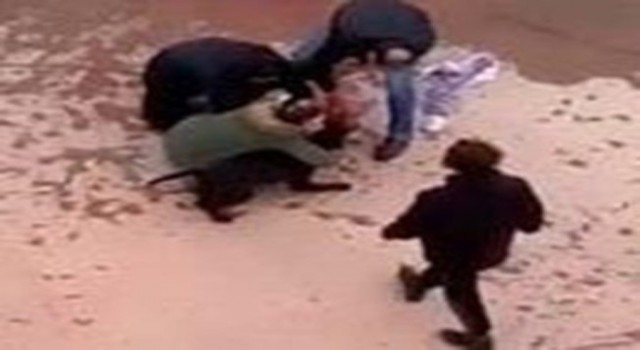 Minik Asiyeye pitbull saldırısında tahliye edilen 3 sanık tekrar tutuklandı
