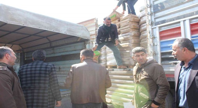 Muradiyede 125 çiftçiye 52 ton buğday tohumu dağıtıldı