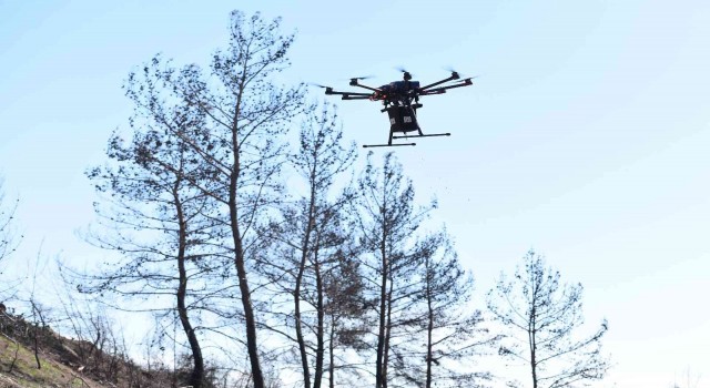Muratpaşa, Manavgatta drone ile 15 kilogram tohum attı
