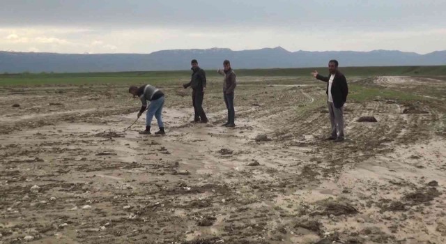 Muşta tarım arazileri su altında kaldı