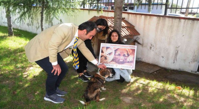 Öğrencilerin Balı