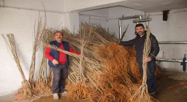 Oltuda 15 bin fidan dağıtımı yapıldı