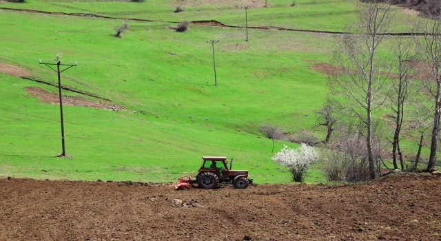 Orduda atıl araziler üretime kazandırılıyor