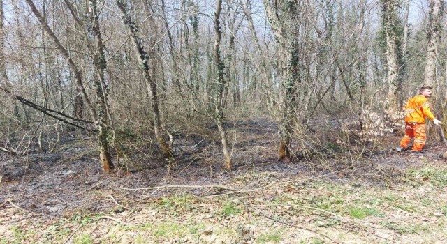 Ormanlık alanlarda çıkan yangın büyümeden söndürüldü