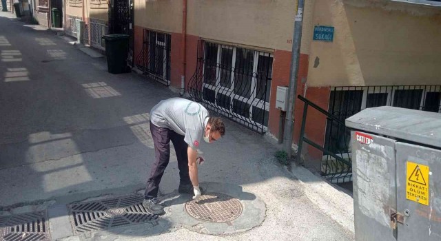 Osmangaziden haşerelere karşı başarılı mücadele